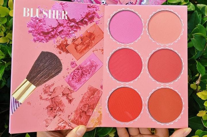 Blush on pallet